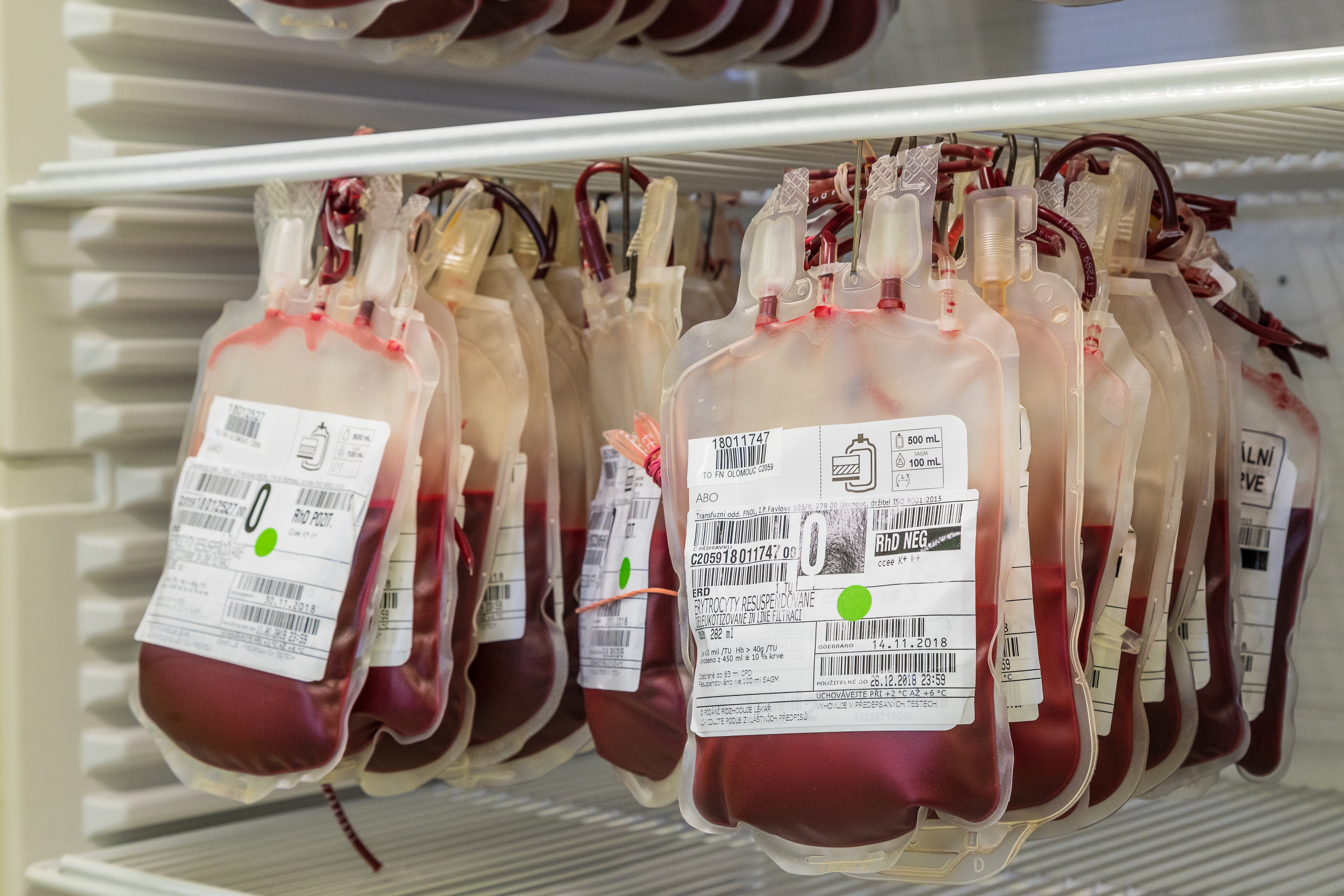 Velikonoční odběr krve v Nemocnici AGEL Jeseník