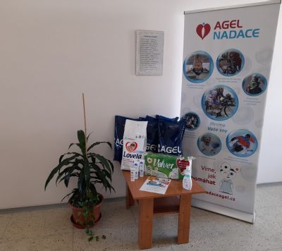 Nemocnice AGEL Jeseník podpořila v rámci Jarní charitativní sbírky NADACE AGEL azylový dům Boétheia
